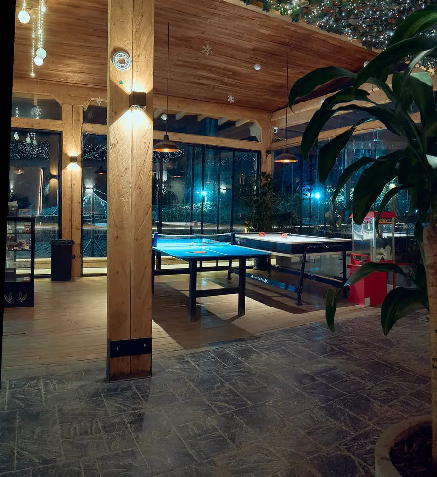 Zona Ping Pong